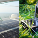 Renogy 100W Solar Panel | $100 | Amazon
Renogy Phoenix Portable Solar Generator | $352 | Amazon